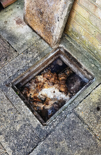 https://plumberbibralake.com.au/uploads/2025/06/blocked-drains-465055.jpg
